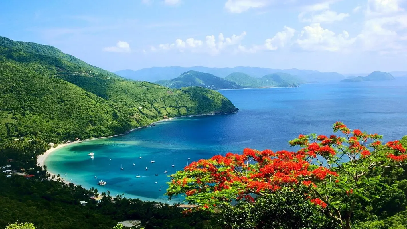 创意高标准智慧
